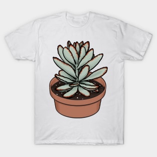 Panda Plant Kalanchoe Tomentosa Succulent Sketch T-Shirt